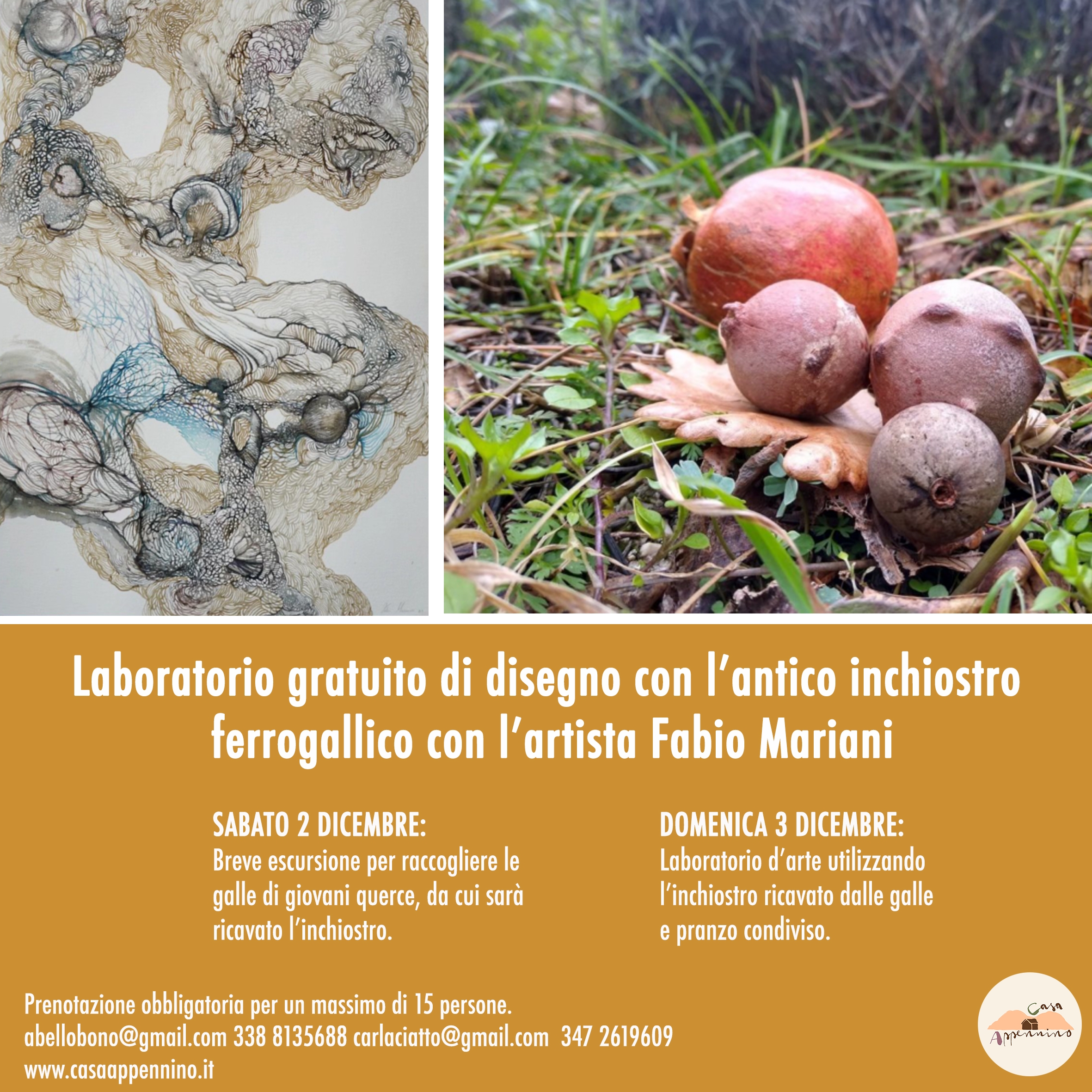 Laboratorio di disegno con lantico inchiostro ferrogallico, 2 e 3 dicembre